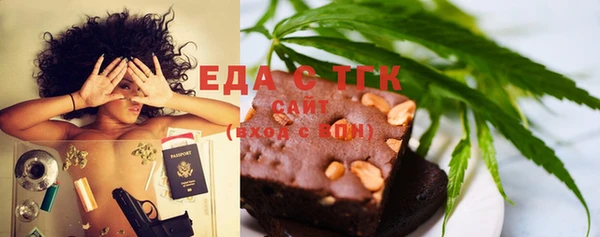 индика Абаза