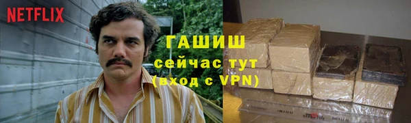 индика Абаза