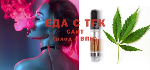 индика Абаза
