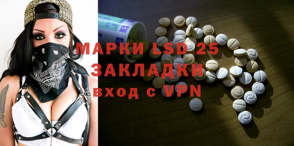 индика Абаза