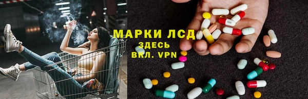 индика Абаза
