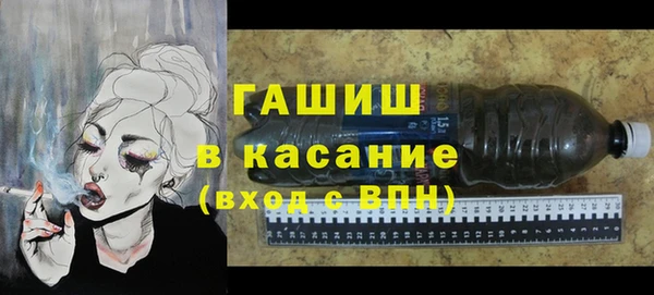 индика Абаза