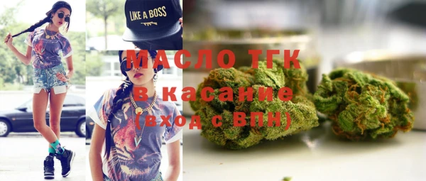 индика Абаза