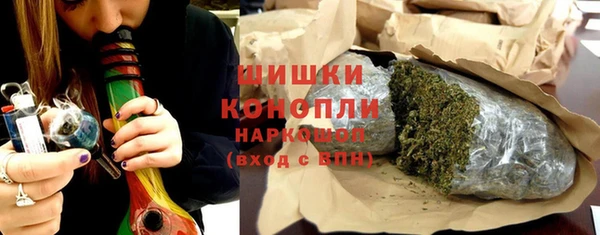 индика Абаза