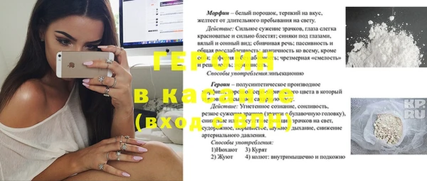 индика Абаза