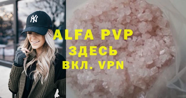 индика Абаза