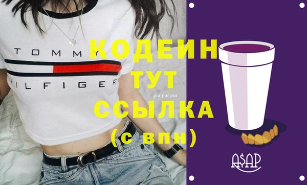 индика Абаза