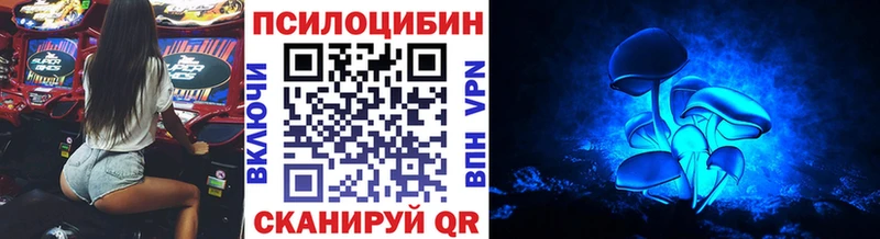 Псилоцибиновые грибы мицелий  Новотитаровская 
